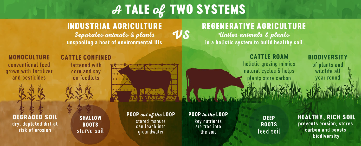 Regenerative Agriculture Infographic